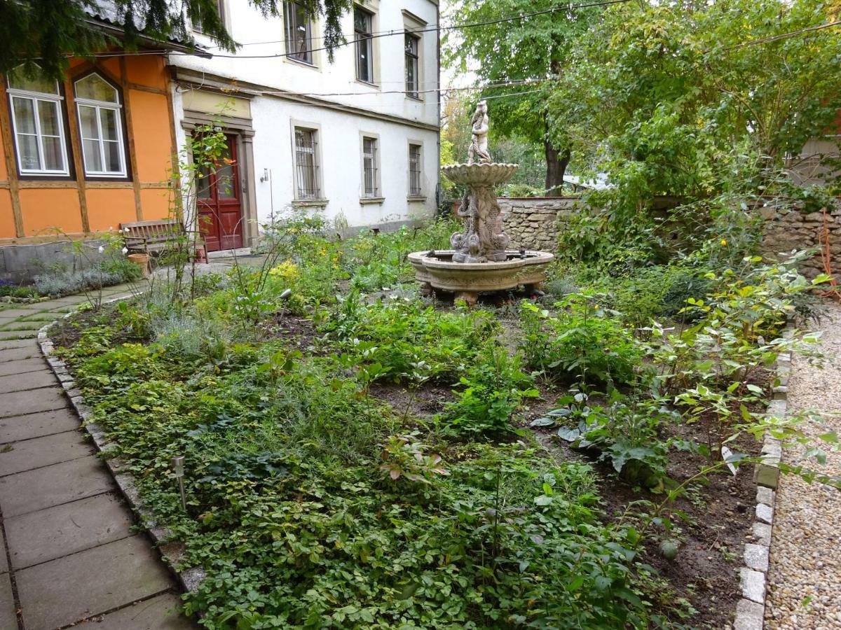 Hummel Hostel - Historische Stadtvilla Mit Garten 바이마르 외부 사진